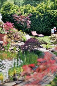 imm026_25.jpg