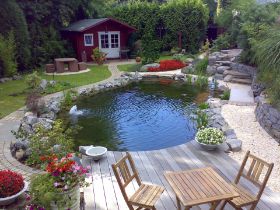 Nachher Teich  (1).jpg