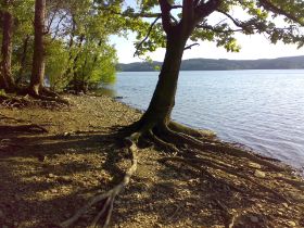Möhnestrand.jpg
