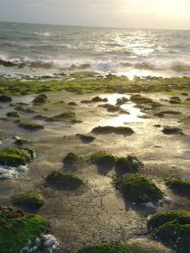 Strand Westkapelle.JPG